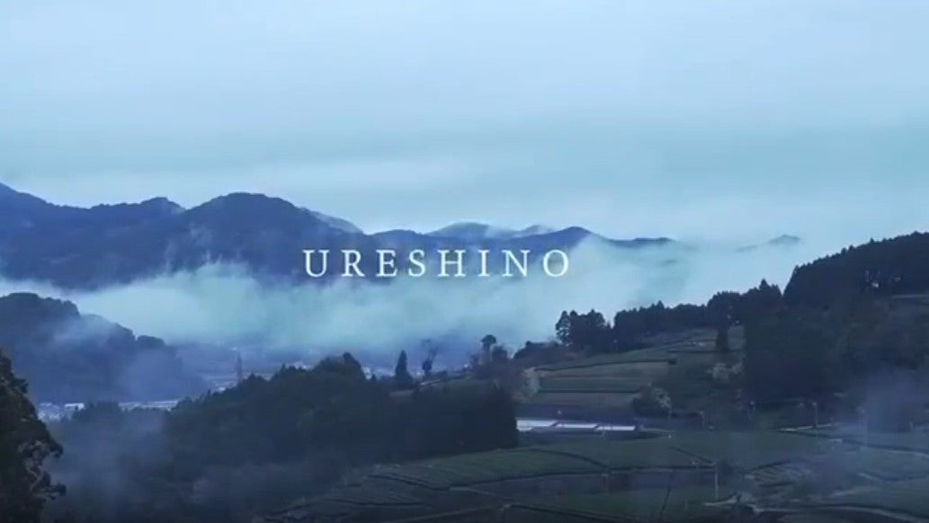 Ureshino Video